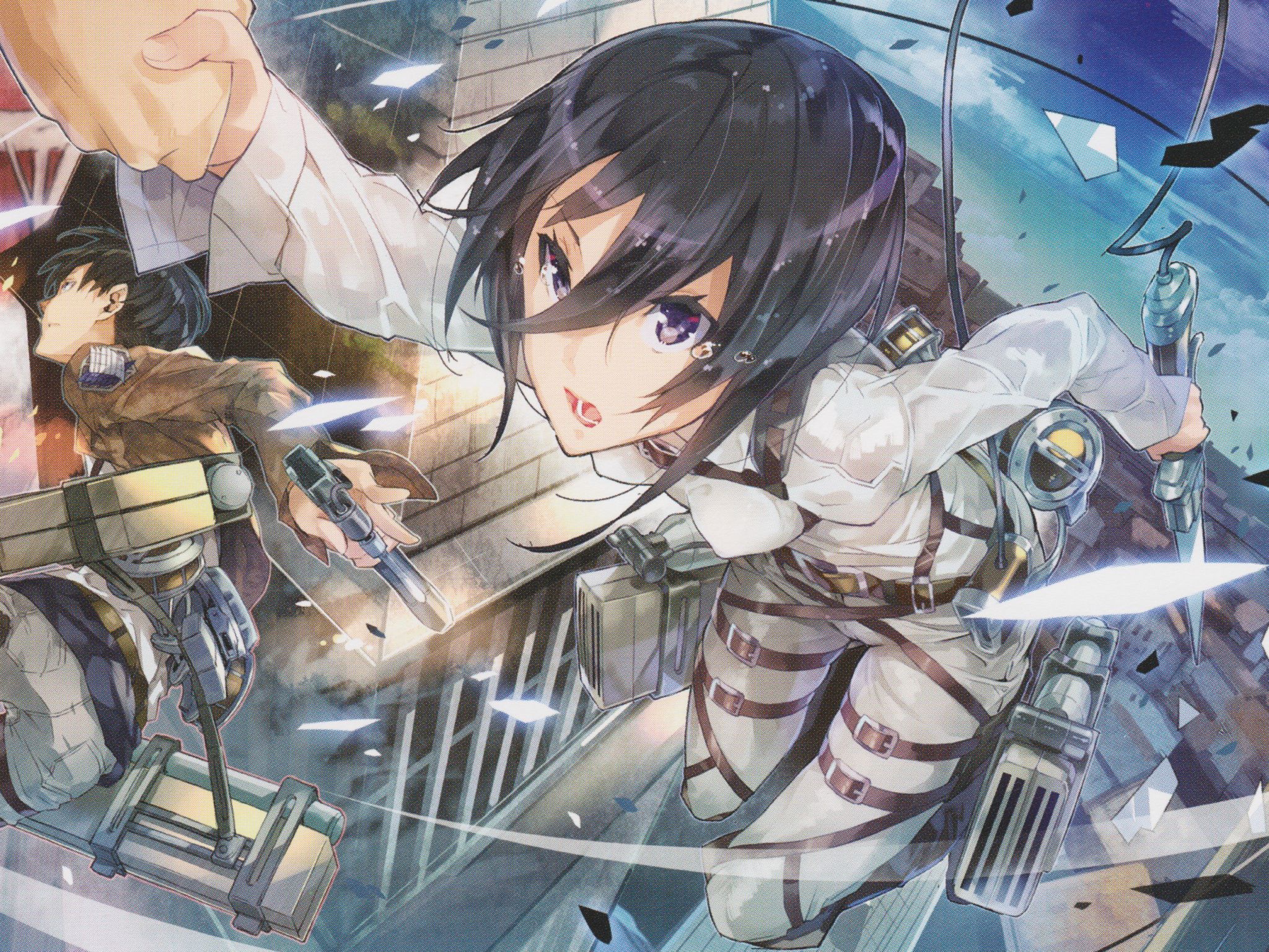 Art, Levi, Anime, Mikasa Ackerman, Attack On Titan End Cards Wallpaper & Background Download
