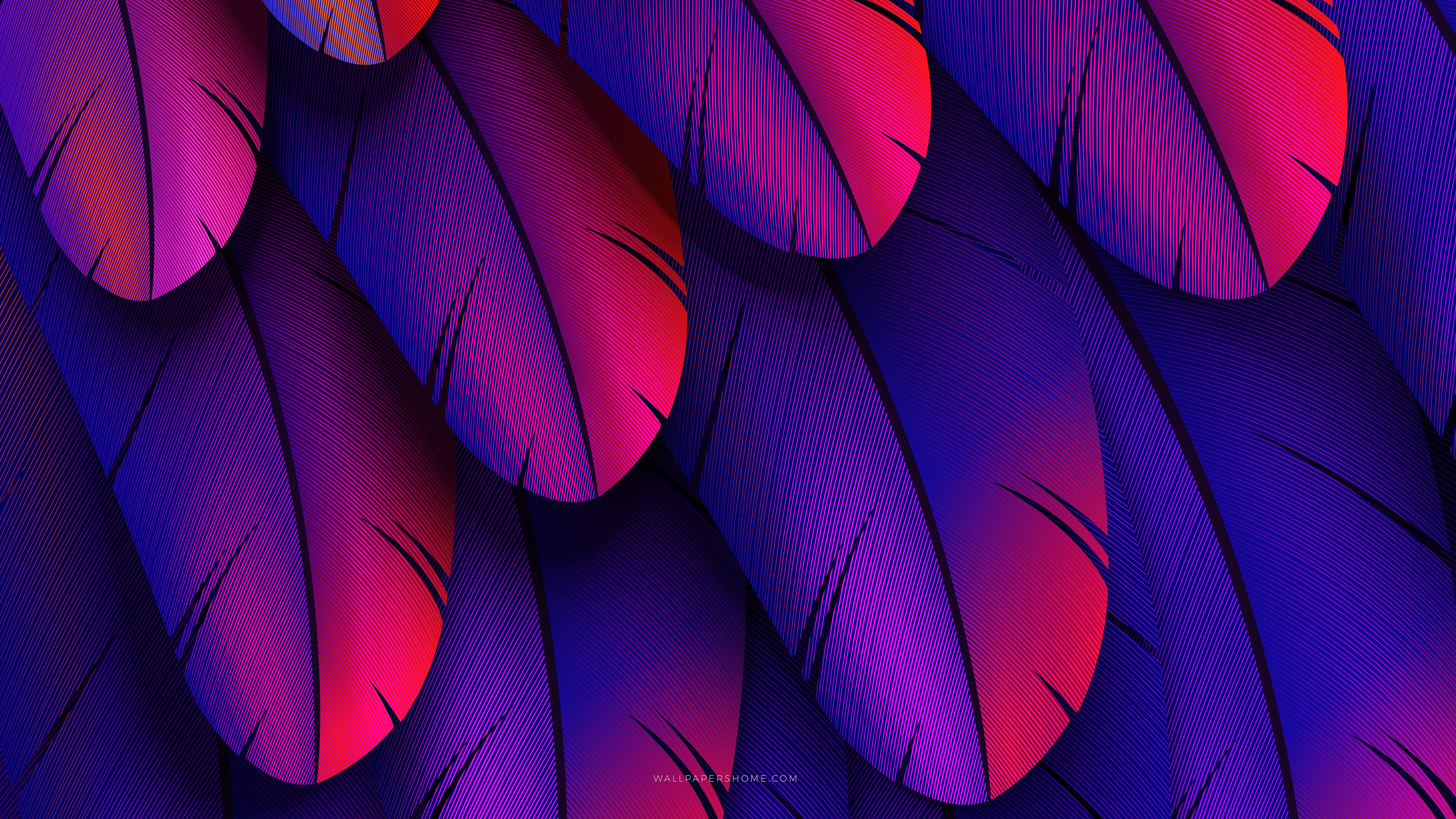 Wallpaper abstract, 3D, colorful, 8k, Abstract