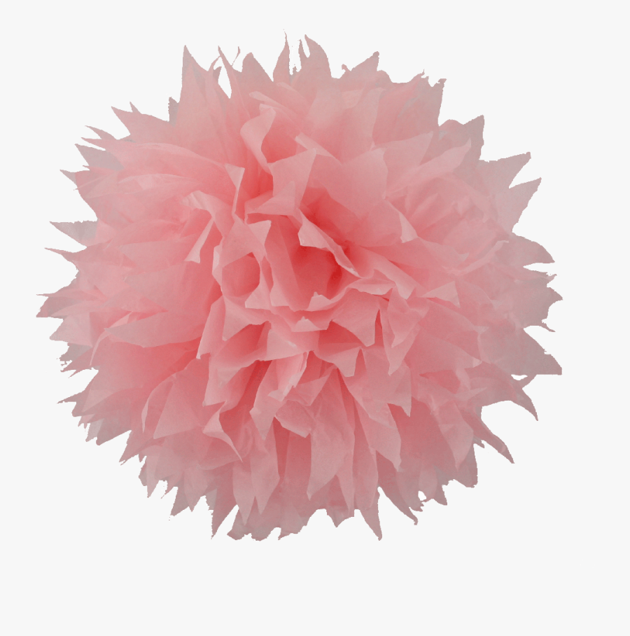 Pom Image In Collection Transparent Background Pom Transparent Background, Free Transparent Clipart