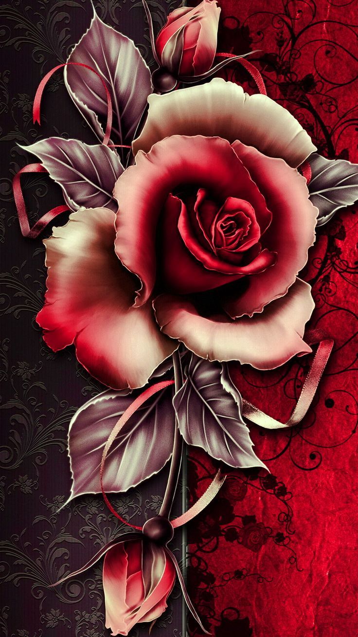 Red Rose Live Wallpaper Free Download Red Rose Rose Gold