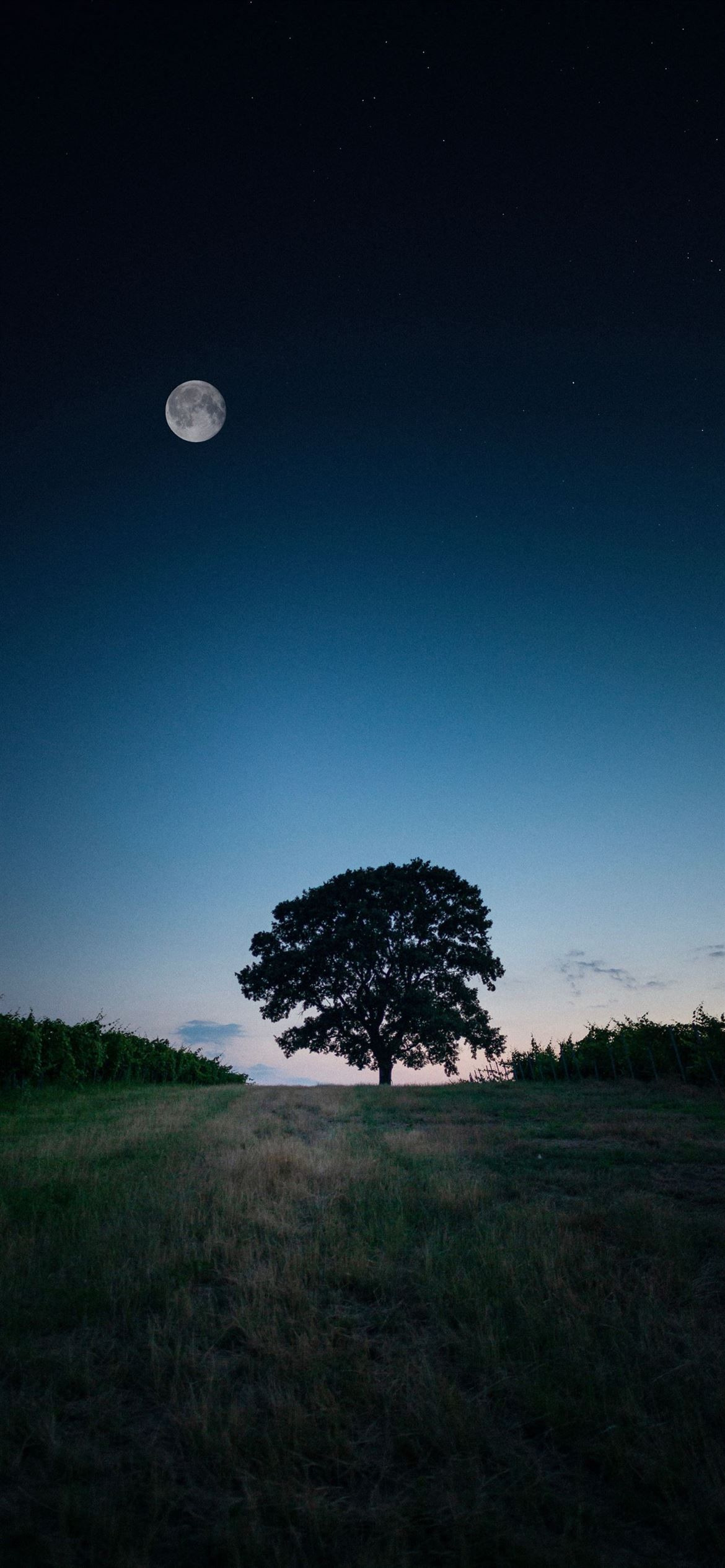 Best Moon iPhone 12 HD Wallpaper