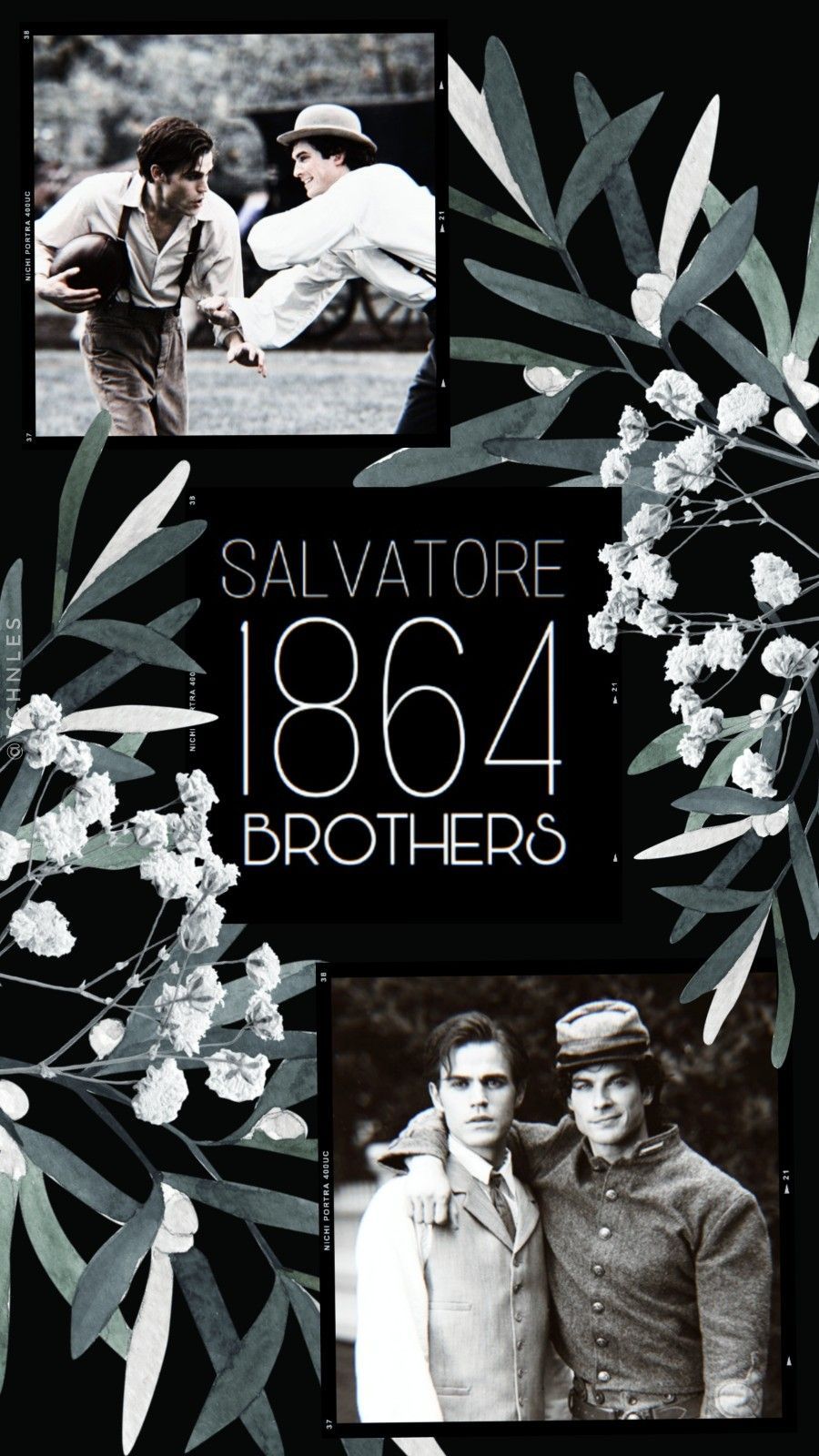Salvatore team 1864. Vampire diaries funny, Vampire diaries wallpaper, Vampire diaries