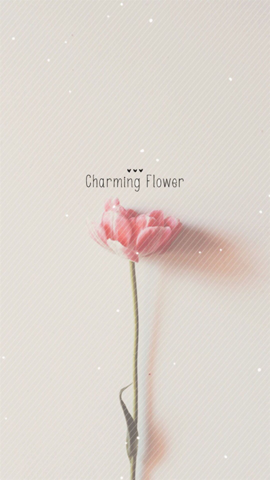 Pure Charming Flower Simple Pattern iPhone 6 Wallpaper Download. iPhone Wallpaper, iPad wallpape. Flower iphone wallpaper, Flower wallpaper, iPhone 5s wallpaper