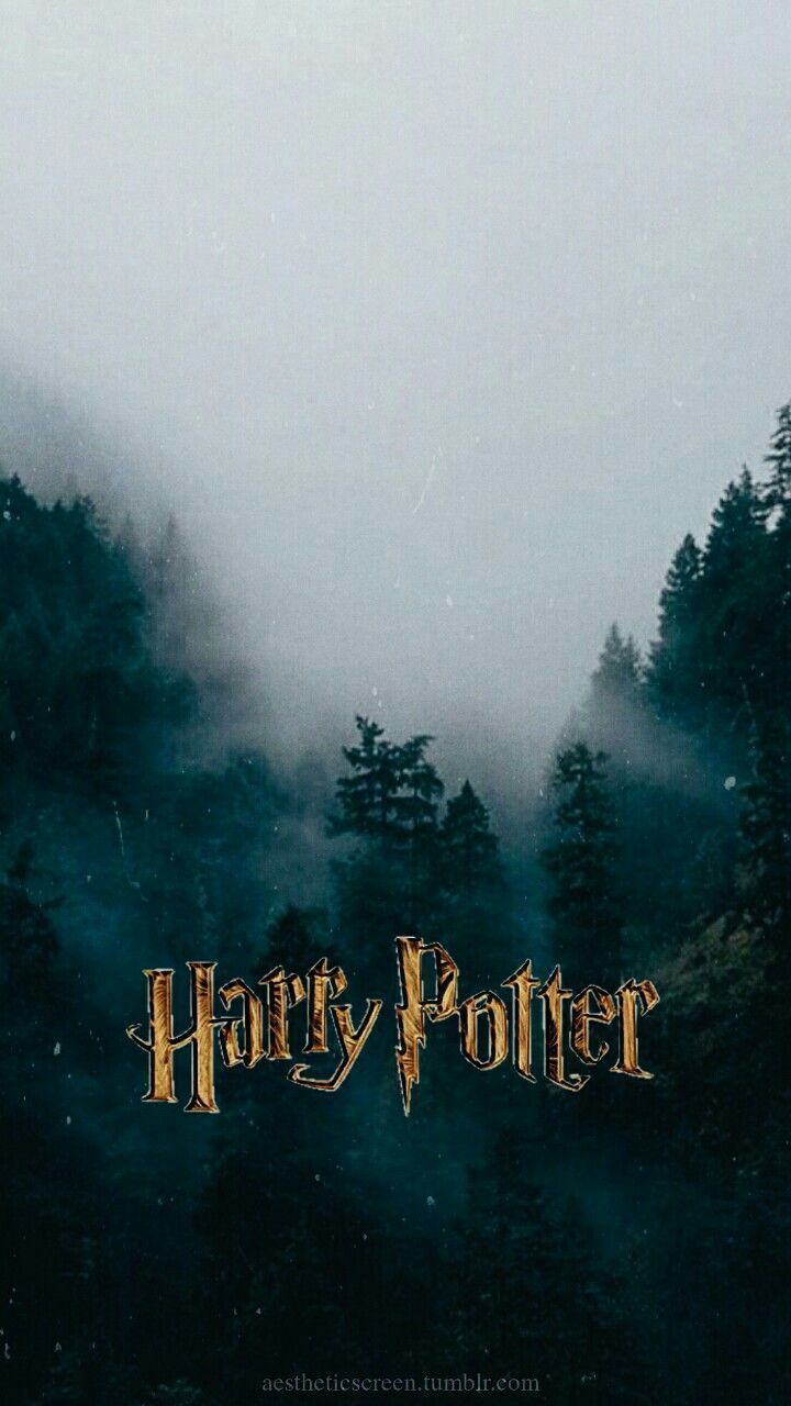 Harry Potter Wallpaper iPhone 11