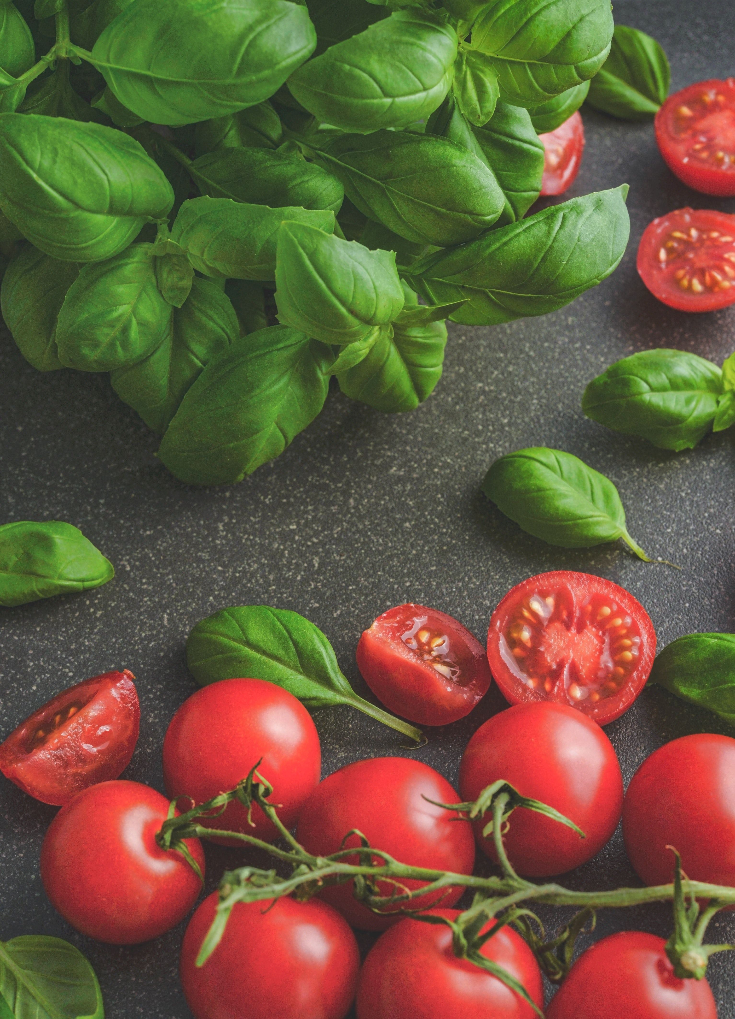 Photography of Tomatoes Near Basil Leaves · Free