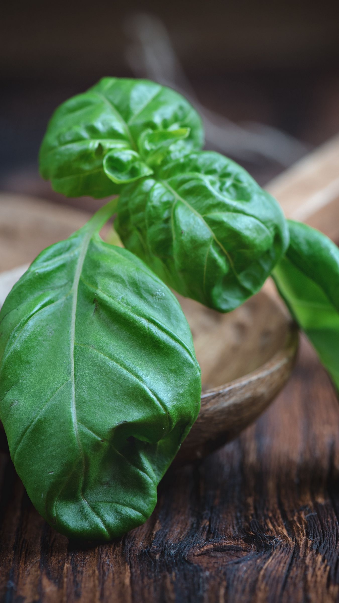 Download wallpaper 1350x2400 basil, herbs, kitchen utensils iphone 8+/7+/6s+/for parallax HD background