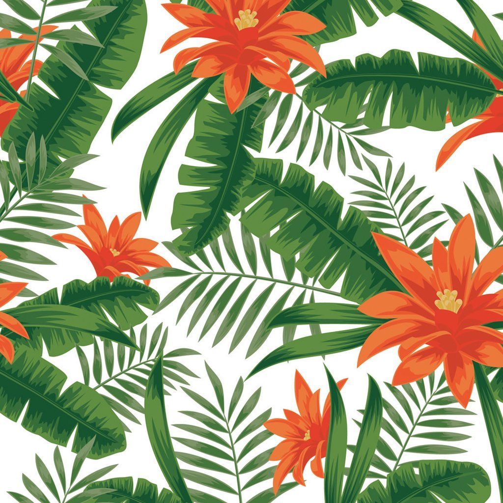 Tropical Plants Wallpaper Free Tropical Plants Background