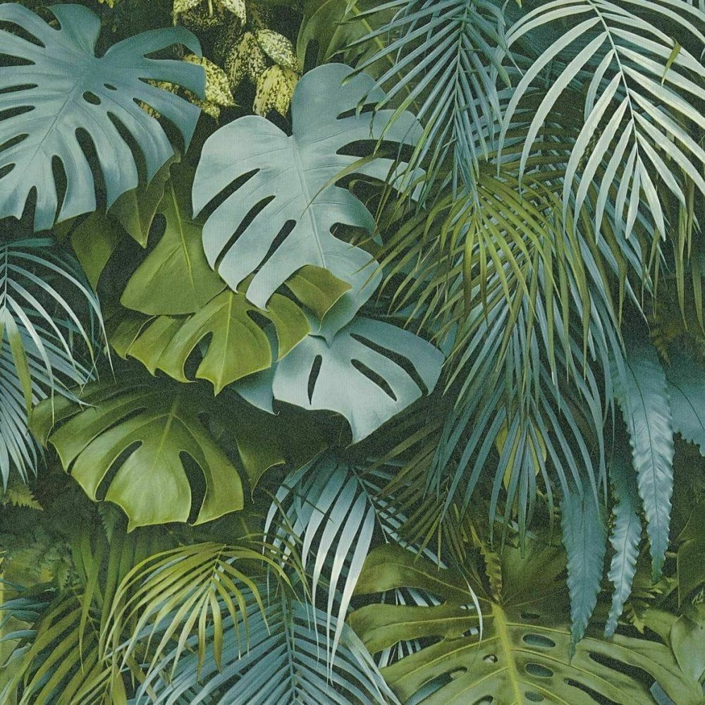 Tropical Plant Wallpaper Uk Wallpaper & Background Download
