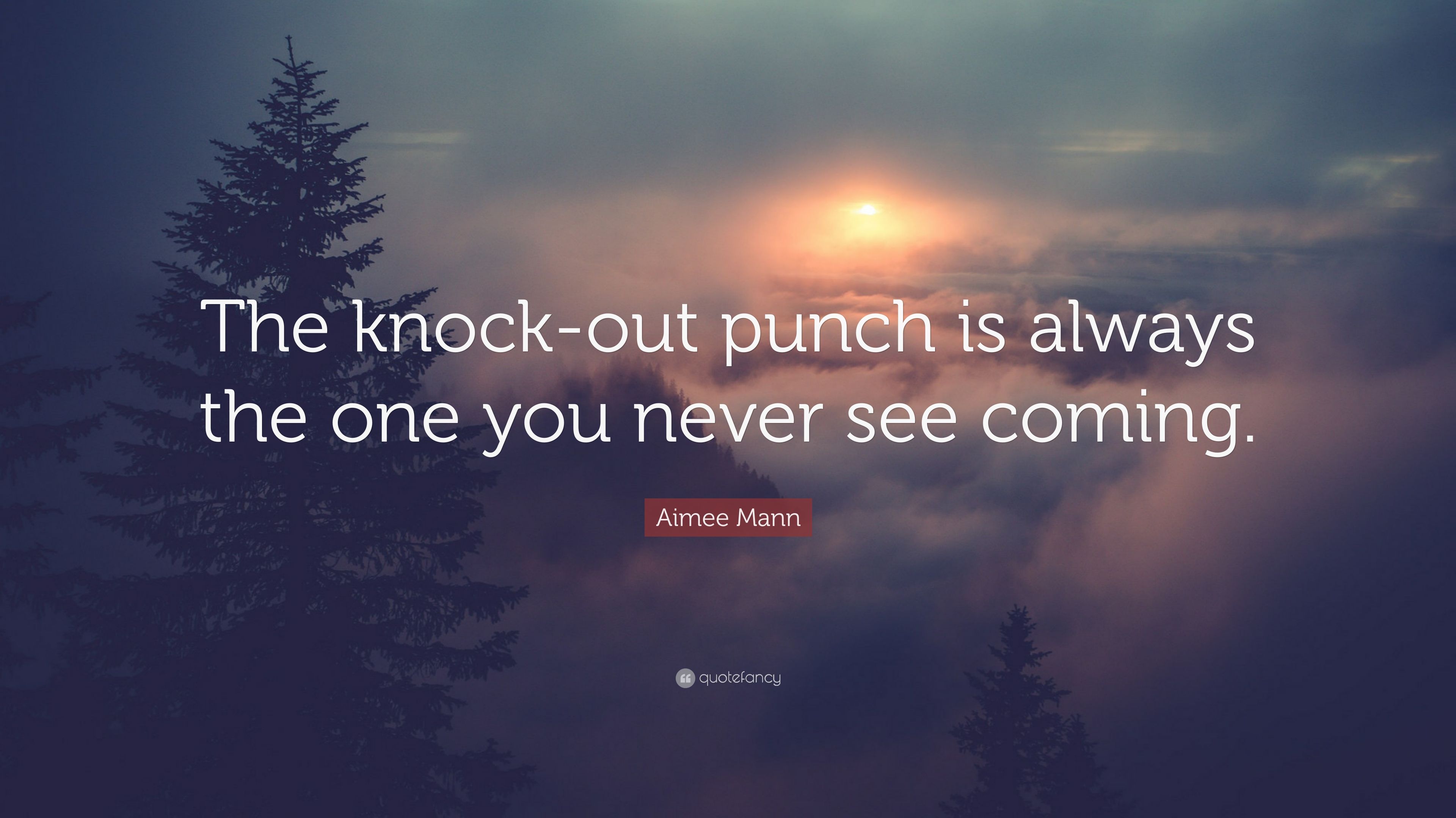 Aimee Mann Quote: “The Knock Out Punch Is Always The One You Never See Coming.” (10 Wallpaper)