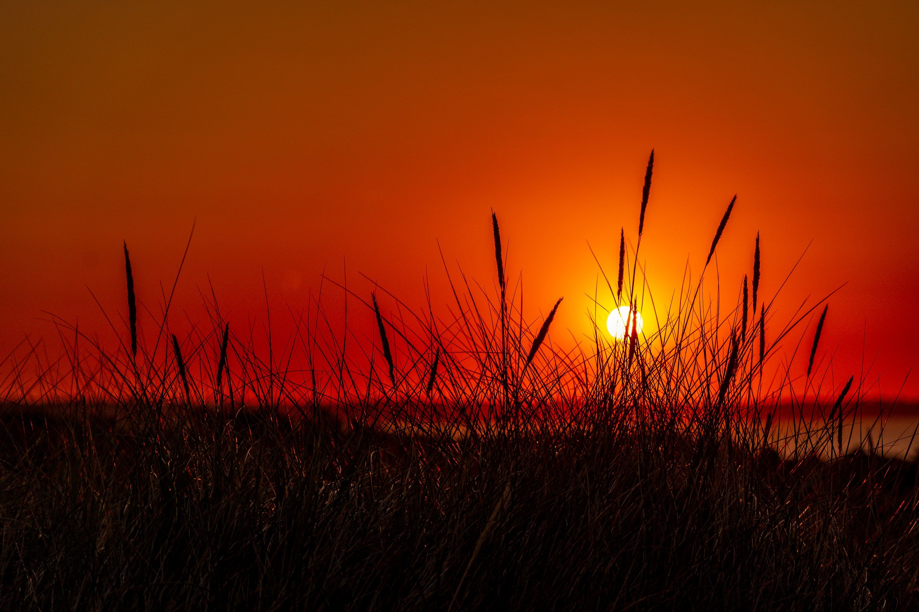 Summer sunrise at the top of Hengistbury Head, Bournemouth, UK (Photo credit to Nick Fewings) [3032 x 2021]