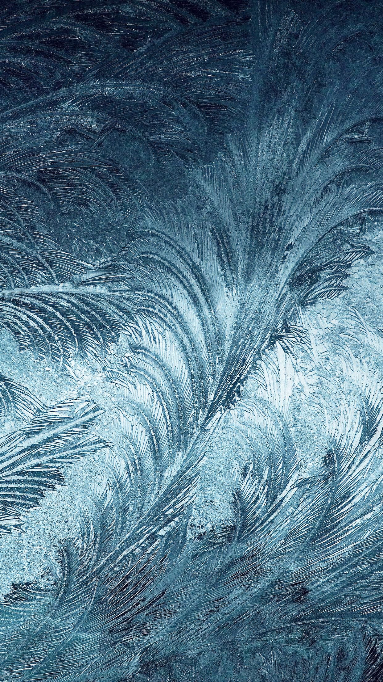 iPhone7 wallpaper. winter snow window cold pattern blue