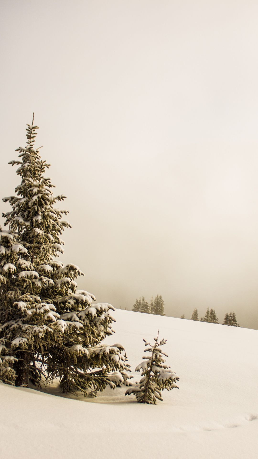 Tree, Snow, Winter iPhone Wallpaper