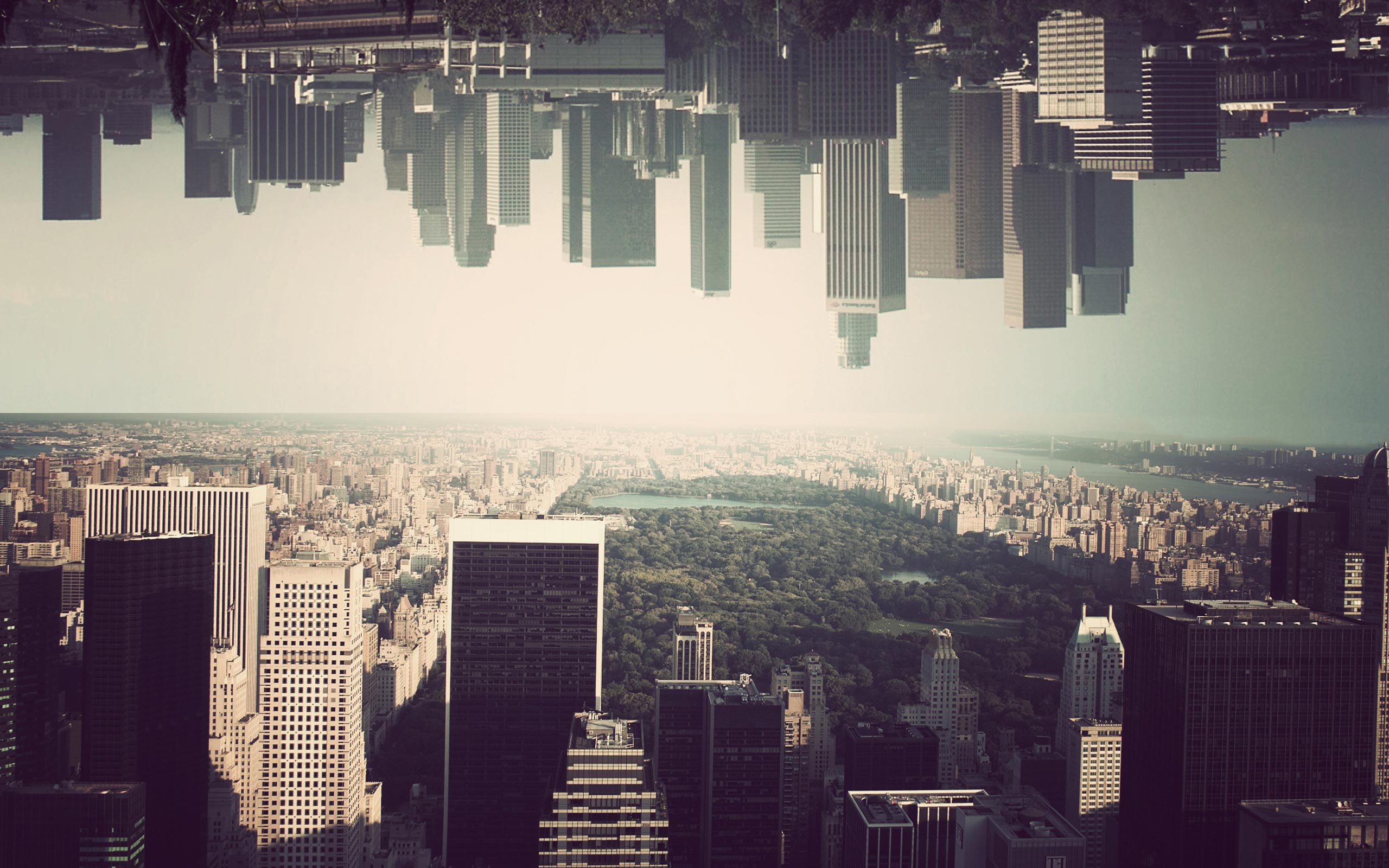 Tattooerr Upside Down Movie Wallpaper 4 Wallpaperx1600