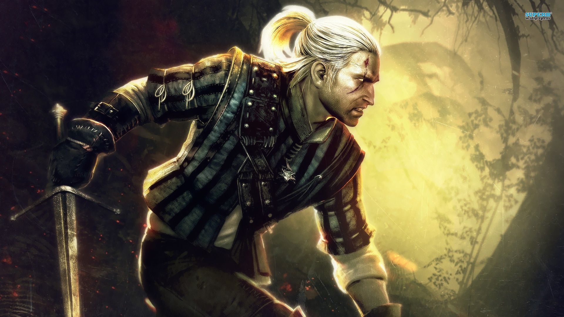 Geralt Witcher 2: Assassins of Kings, Desktop and mobile