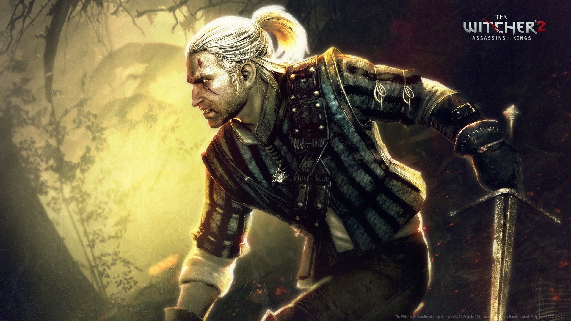 The Witcher 2 Assassins Of Kings Wallpaper HD / Desktop and Mobile Background