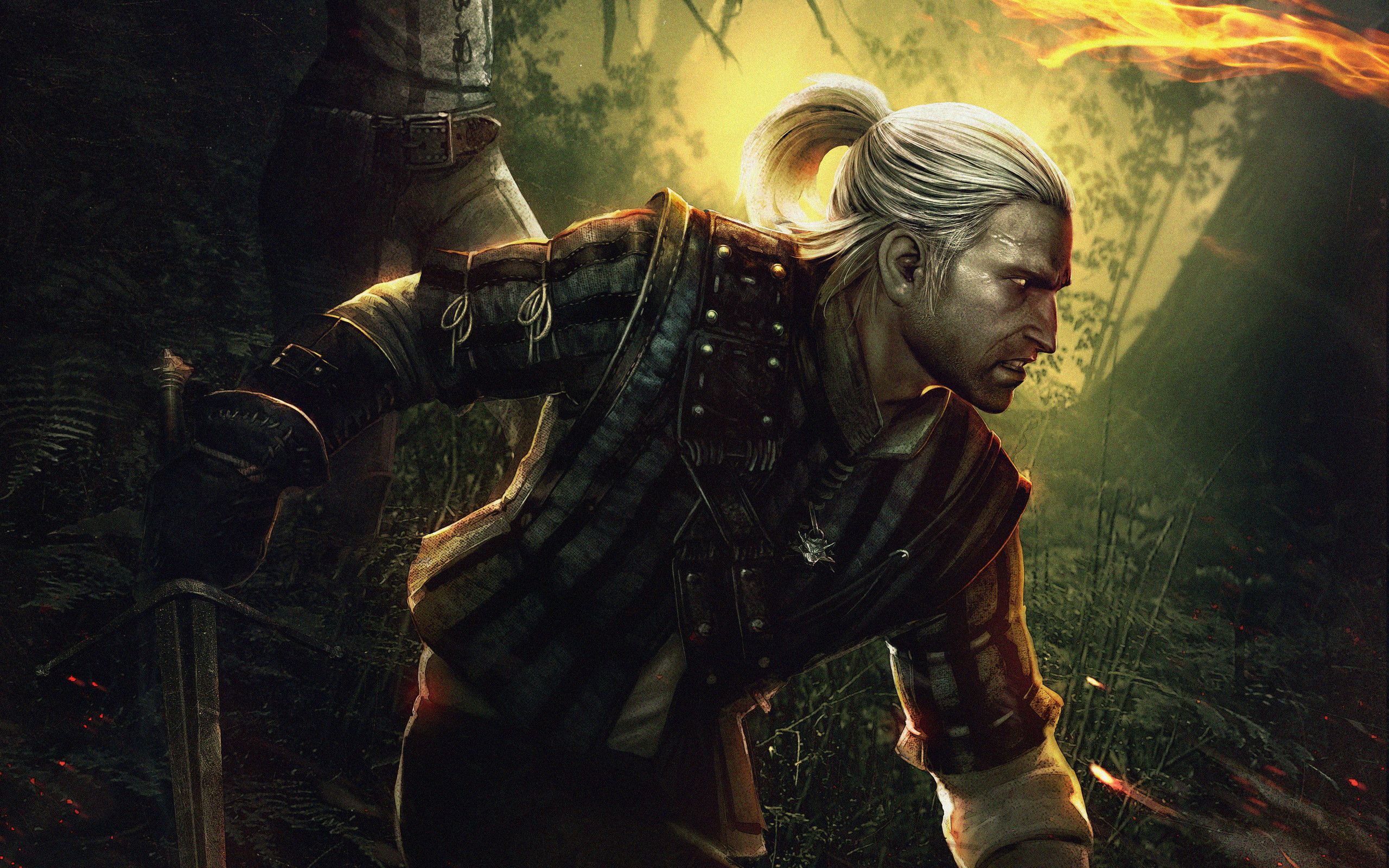 Video Game The Witcher 2 Assassins Of Kings Wallpaper:2560x1600