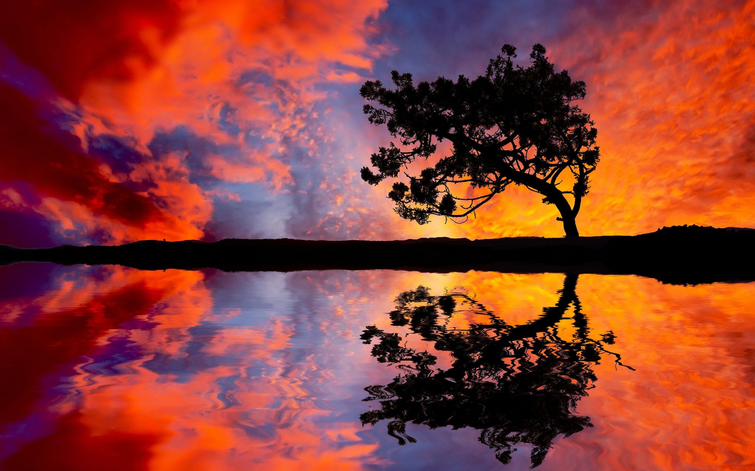 Tree Sunset Reflection Wallpaper Picture Photo Image 503 - Colorful Landscape Reflection