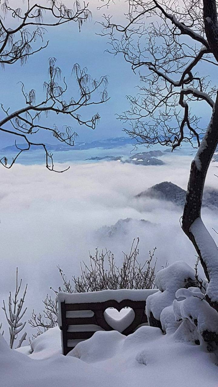 Winter afternoon wallpaper