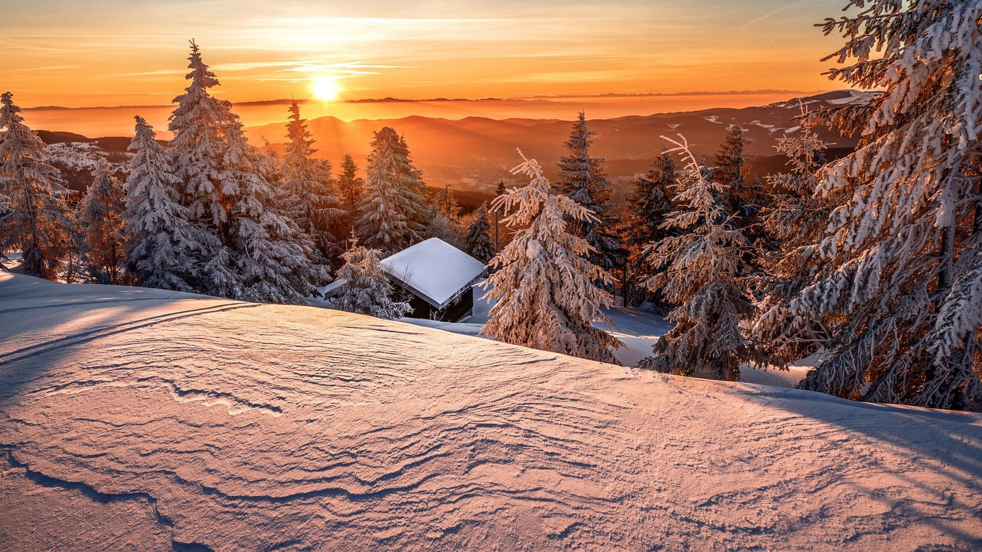 Snow Covered Mountain Trees And House During Sunrise HD Winter Wallpaper