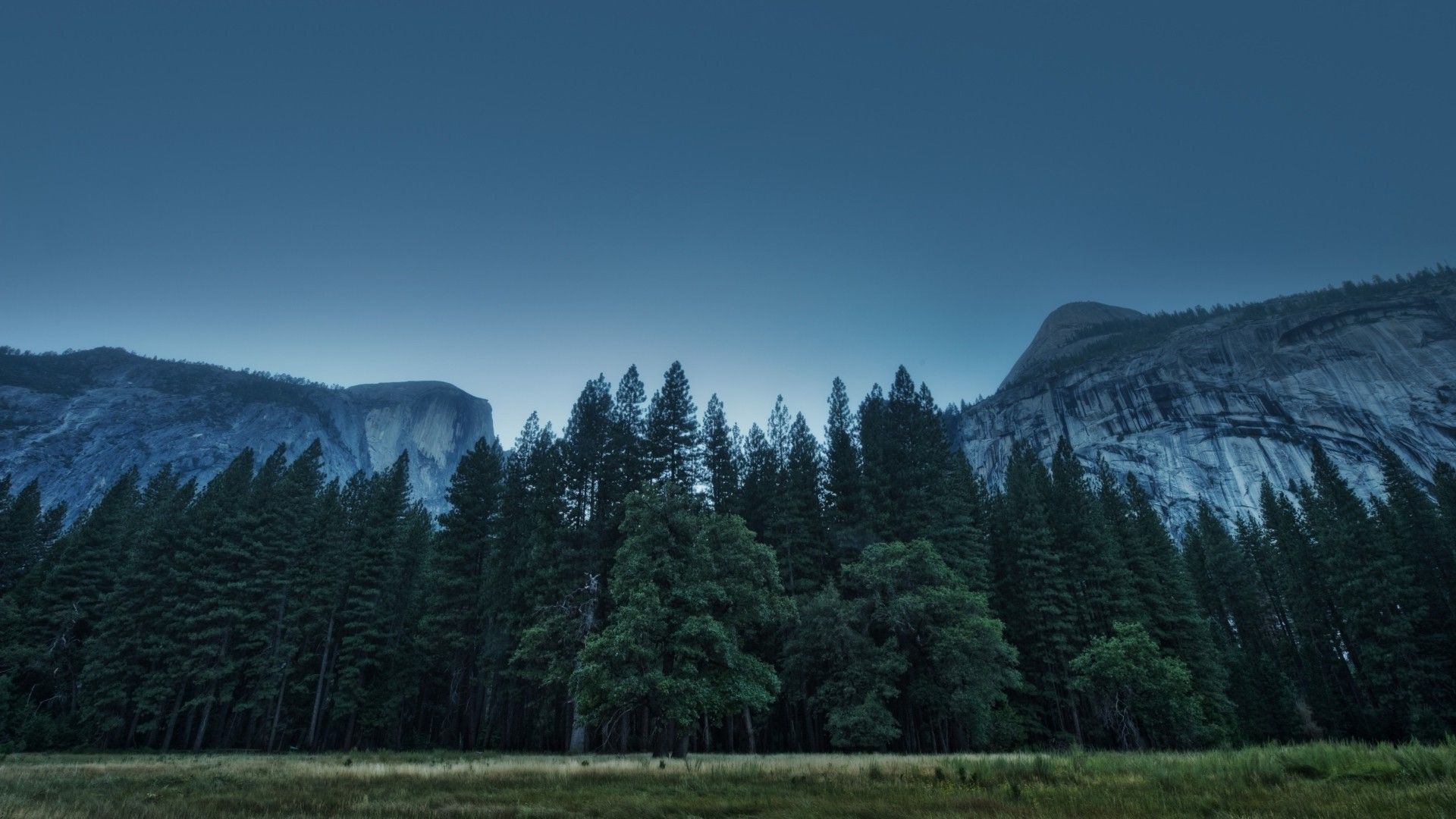 nature, Landscape, Mountain, Forest Wallpaper HD / Desktop and Mobile Background