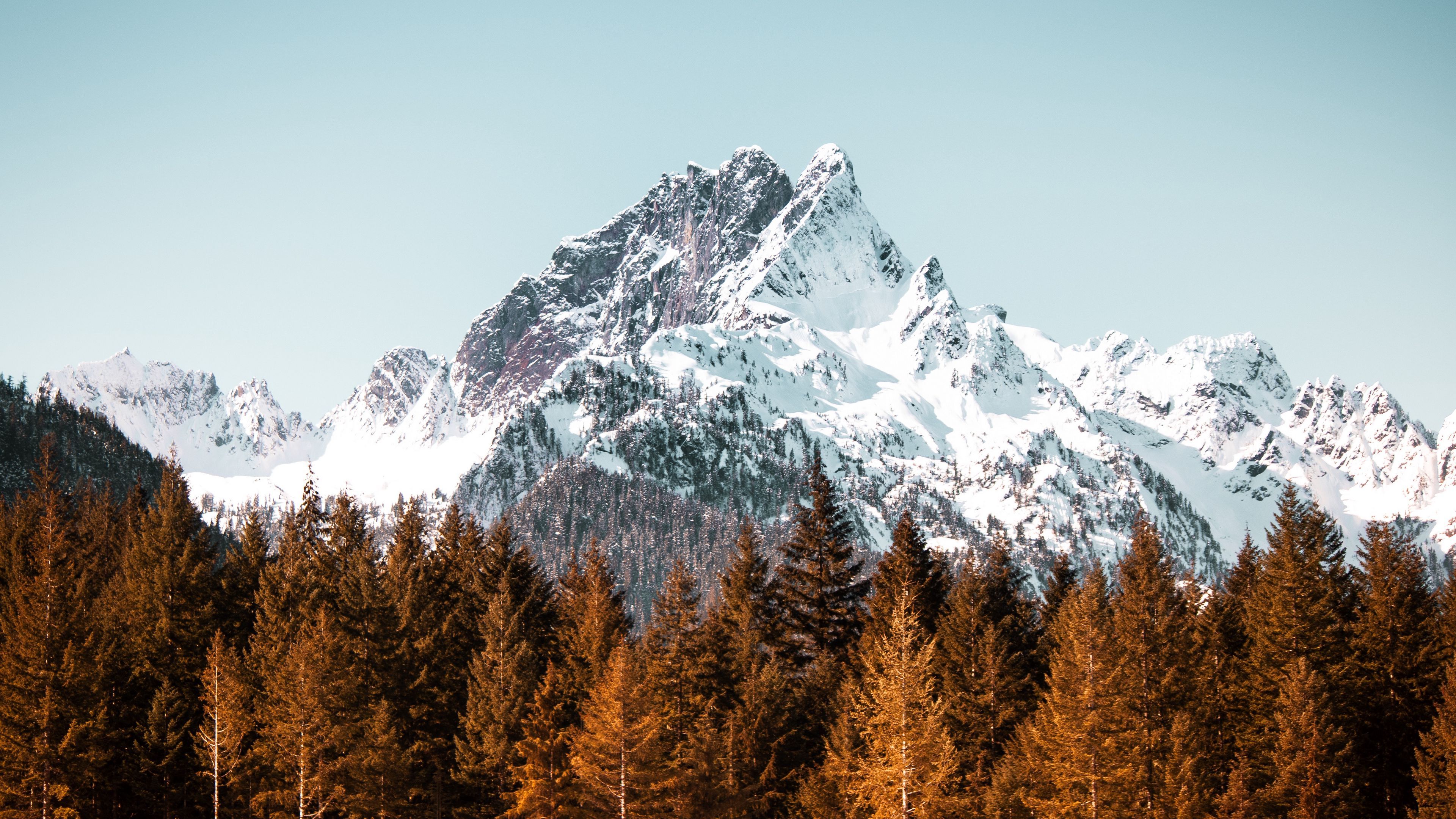 Download wallpaper 3840x2160 mountain, forest, trees, peak, snowy 4k uhd 16:9 HD background