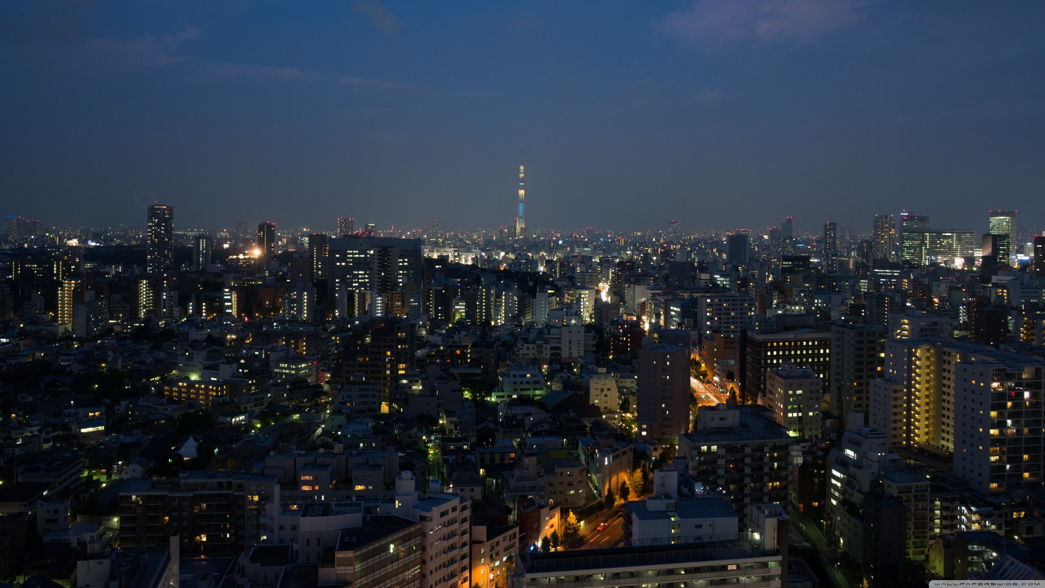 4k Tokyo At Night
