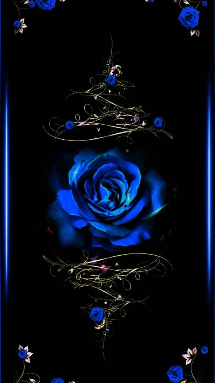 Blue Roses iPhone Wallpaper