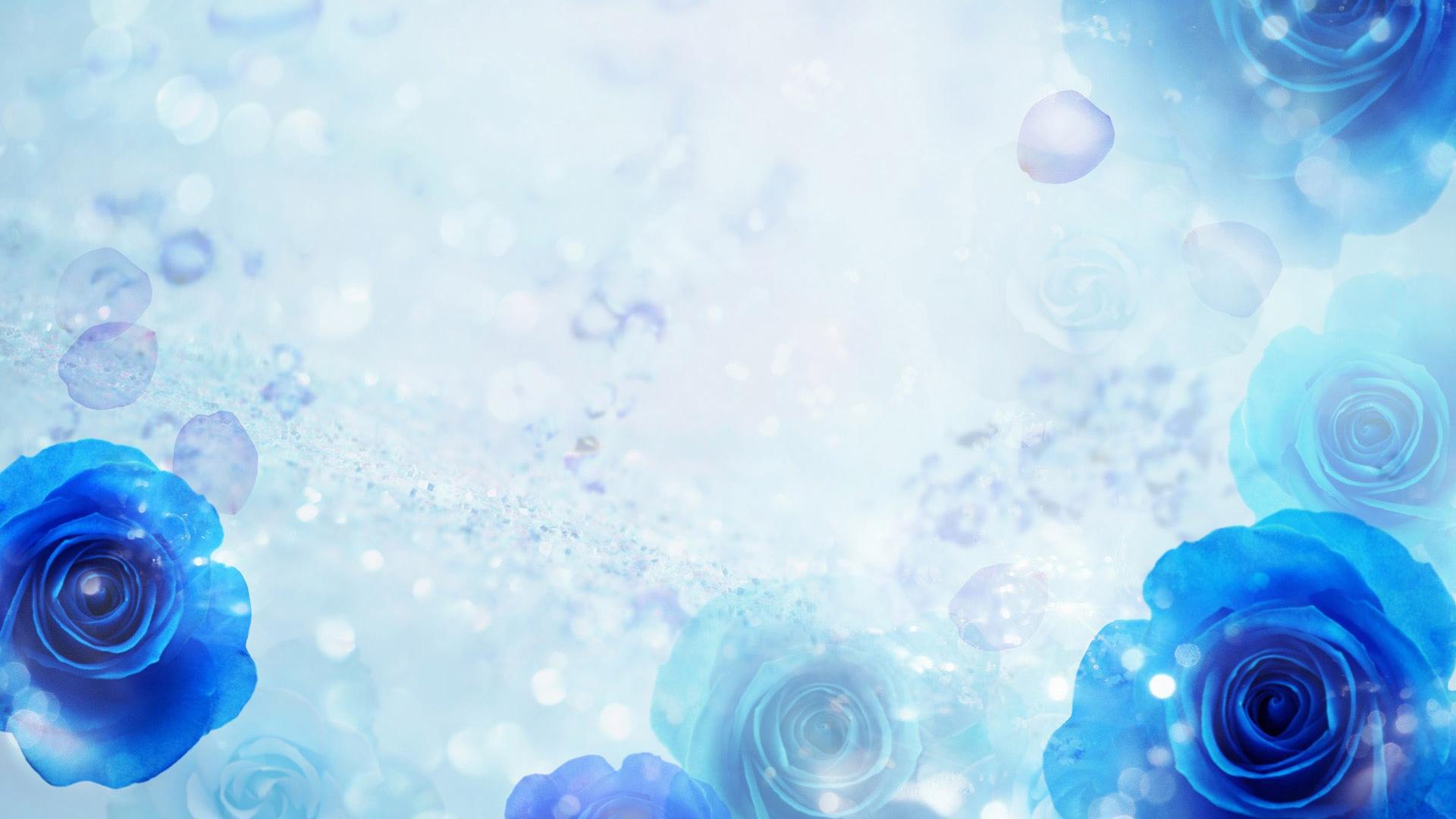 Blue roses on a blue background wallpaper and image