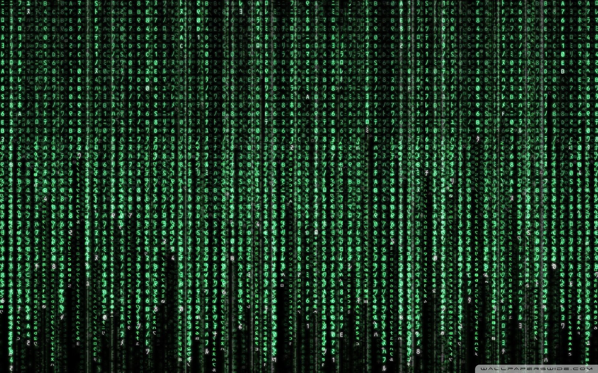 4K Matrix Wallpaper Free 4K Matrix Background