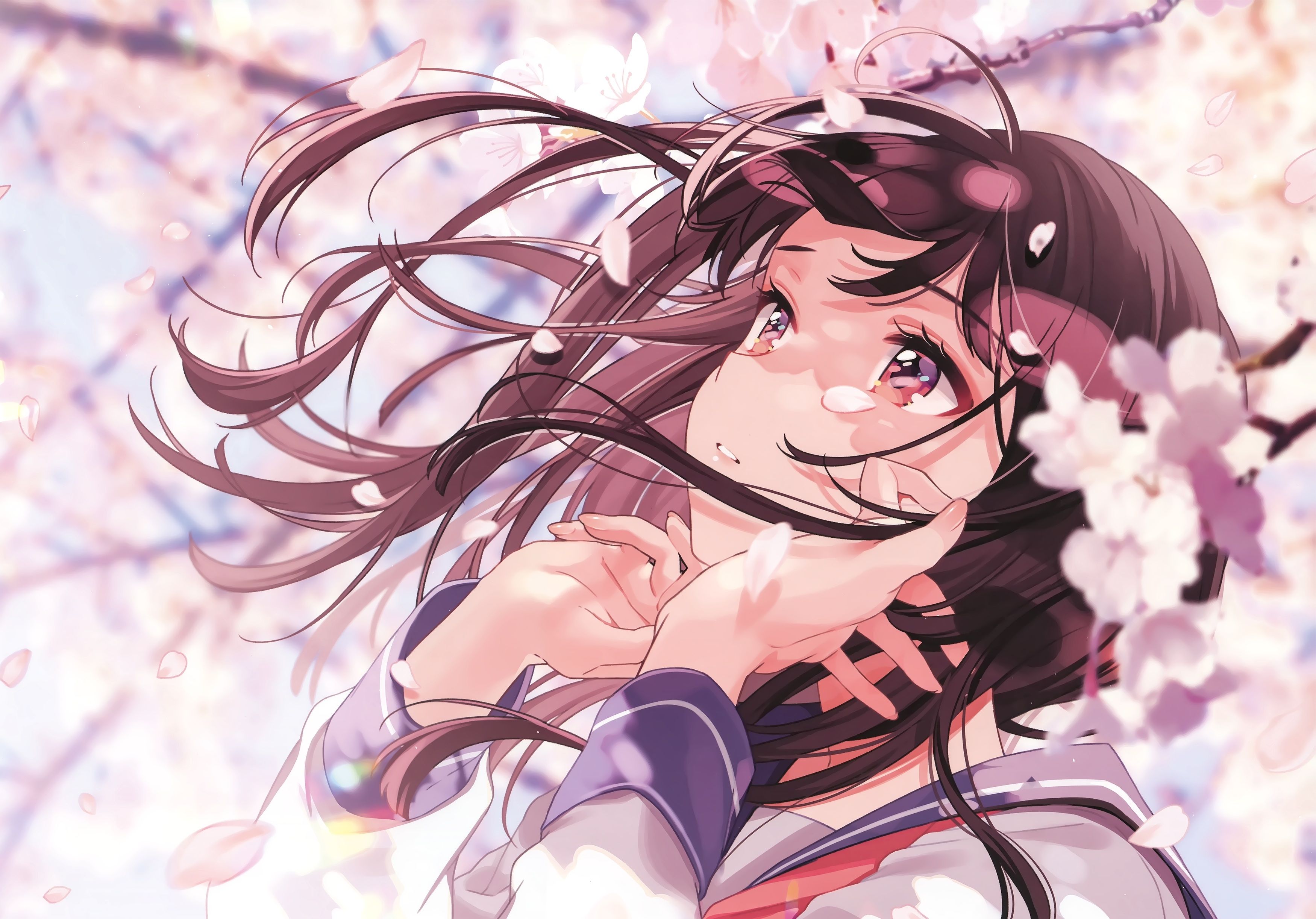 Download 3500x2444 Beautiful Anime Girl, School Uniform, Sakura Blossom, Profile View, Brown Hair Wallpaper