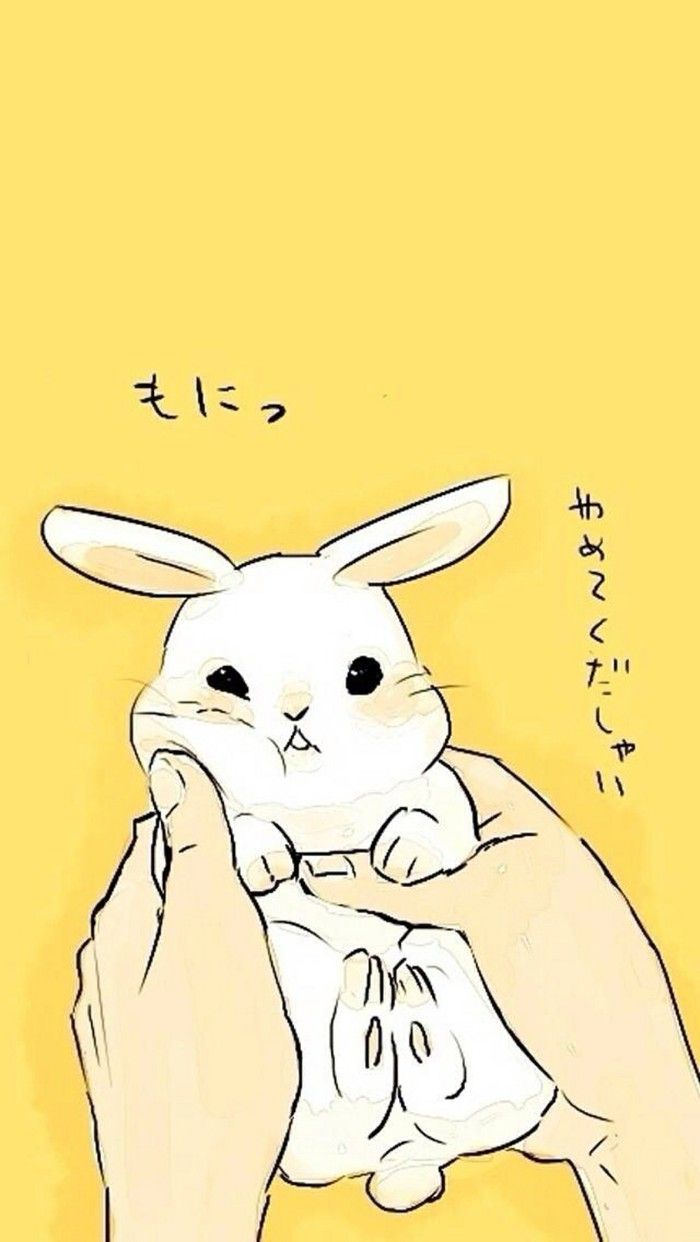 Cute Aesthetic Bunny Drawing bmpconnect