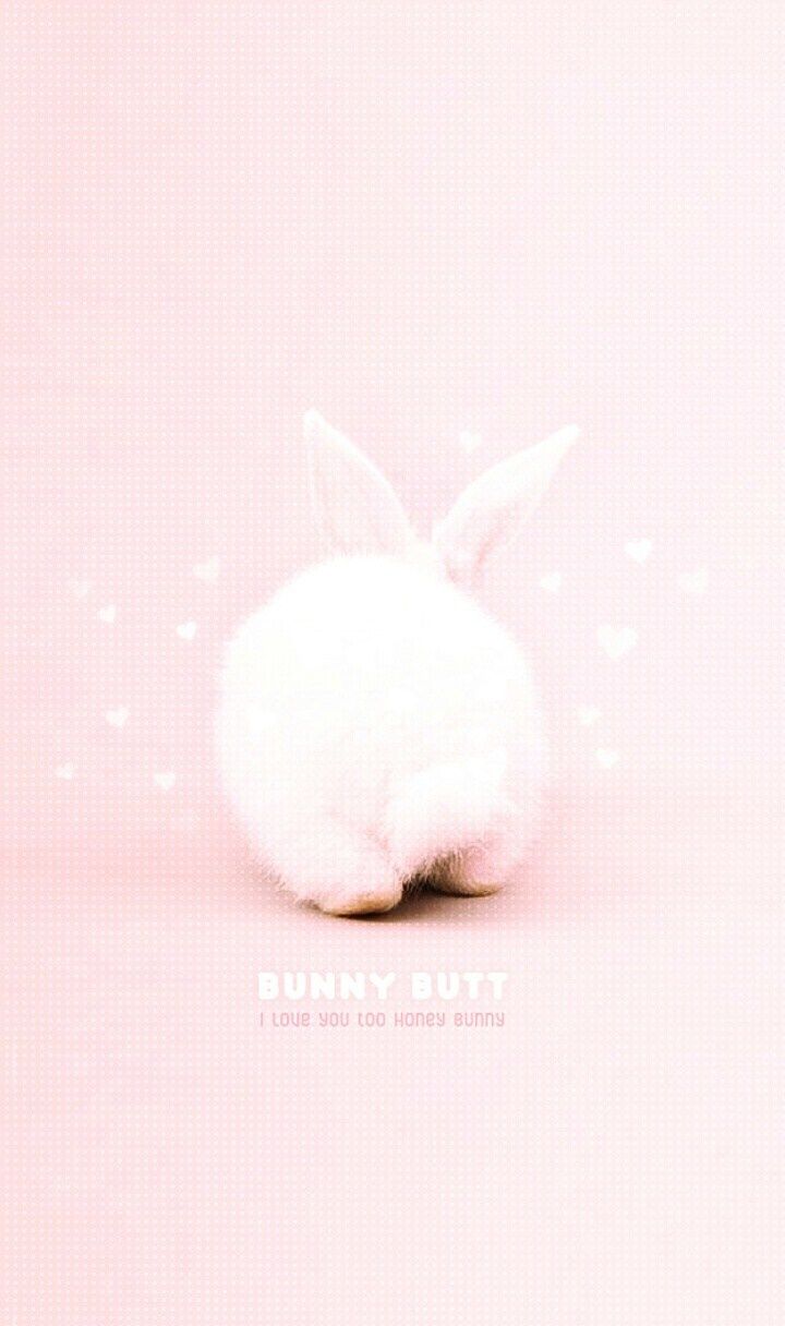 iPhone Cute Pink Bunny Wallpaper