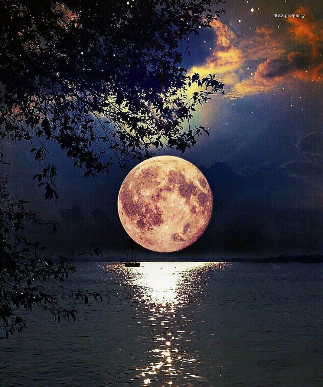 image about s e l e n o p h i l e ☾. See more about moon, night
