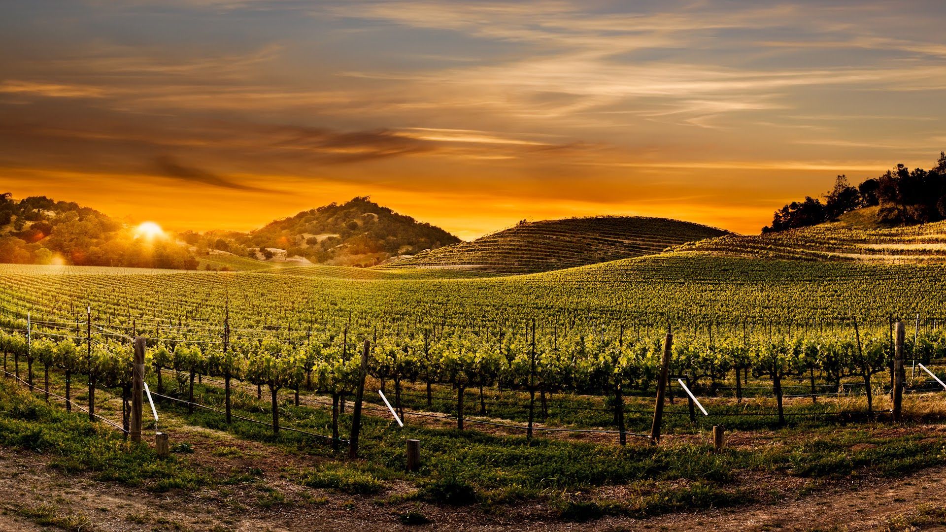 Appellations of Napa Valley, CA