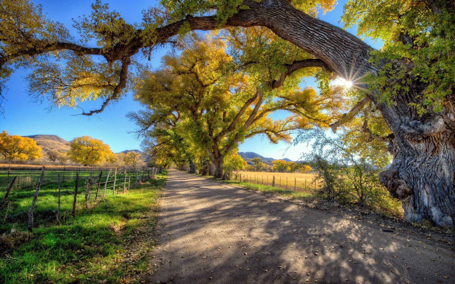 nature, Photography Wallpaper HD. Beautiful roads, Country roads, Photography wallpaper