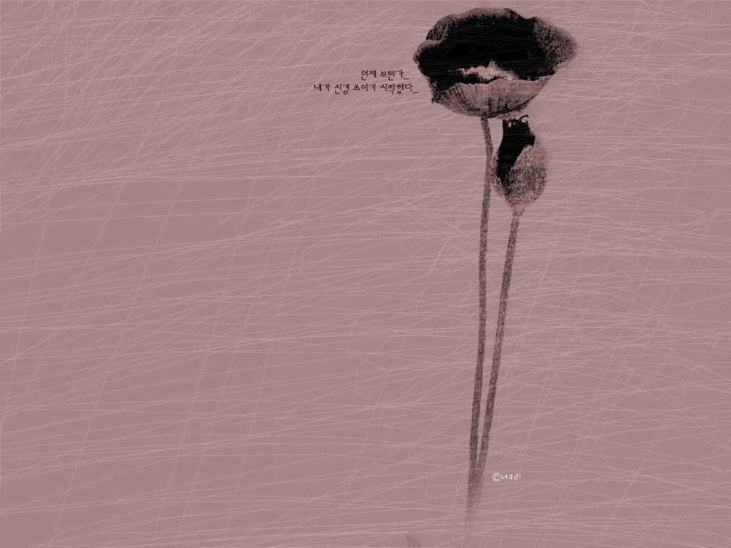 Korean iPhone Wallpaper