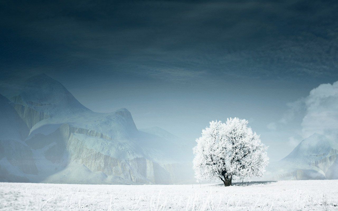 HD Winter Landscape Wallpaper