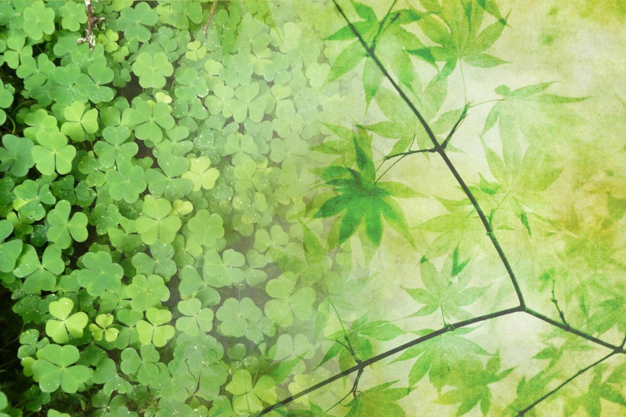 St. Patrick's Day around the world in 2022