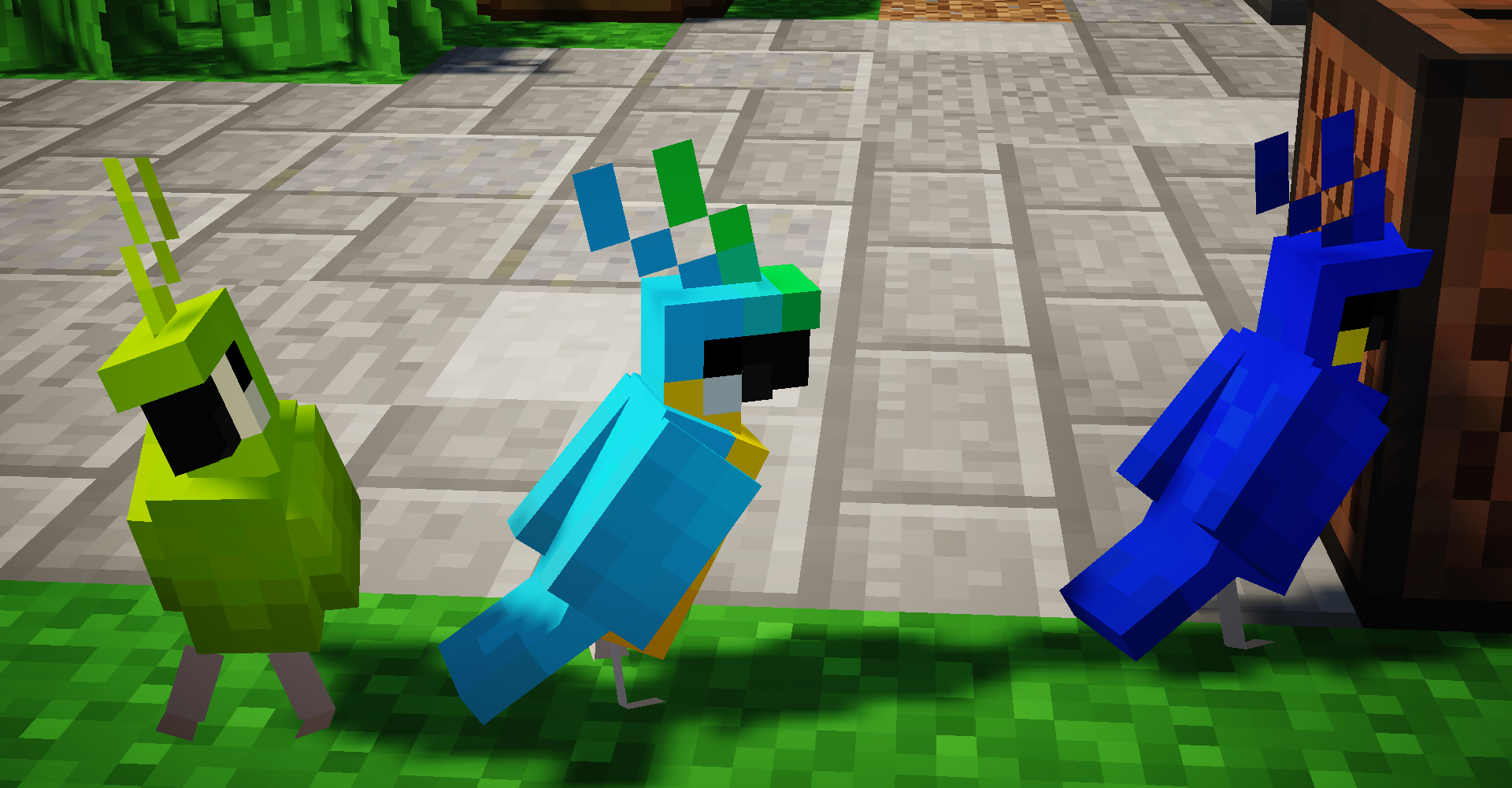 minecraft parrot teddy