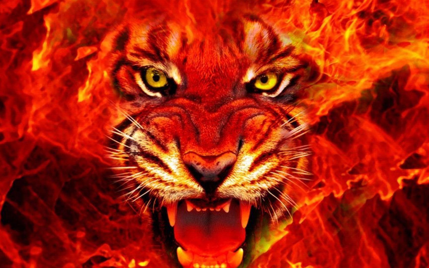 Animal Tiger Face Fire 4k Ultra HD .wallpaper13.com