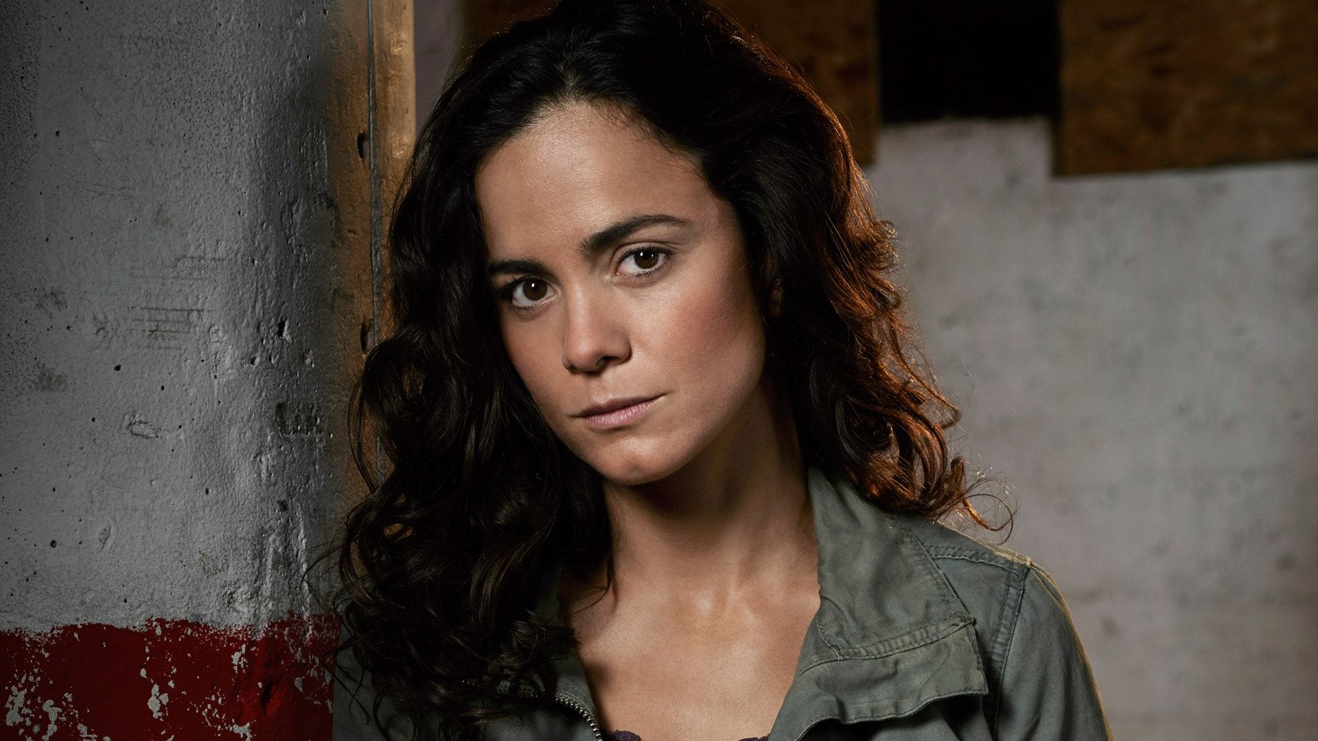 Alice Braga Desktop HD Wallpaper 57617 .hdwallsource.com