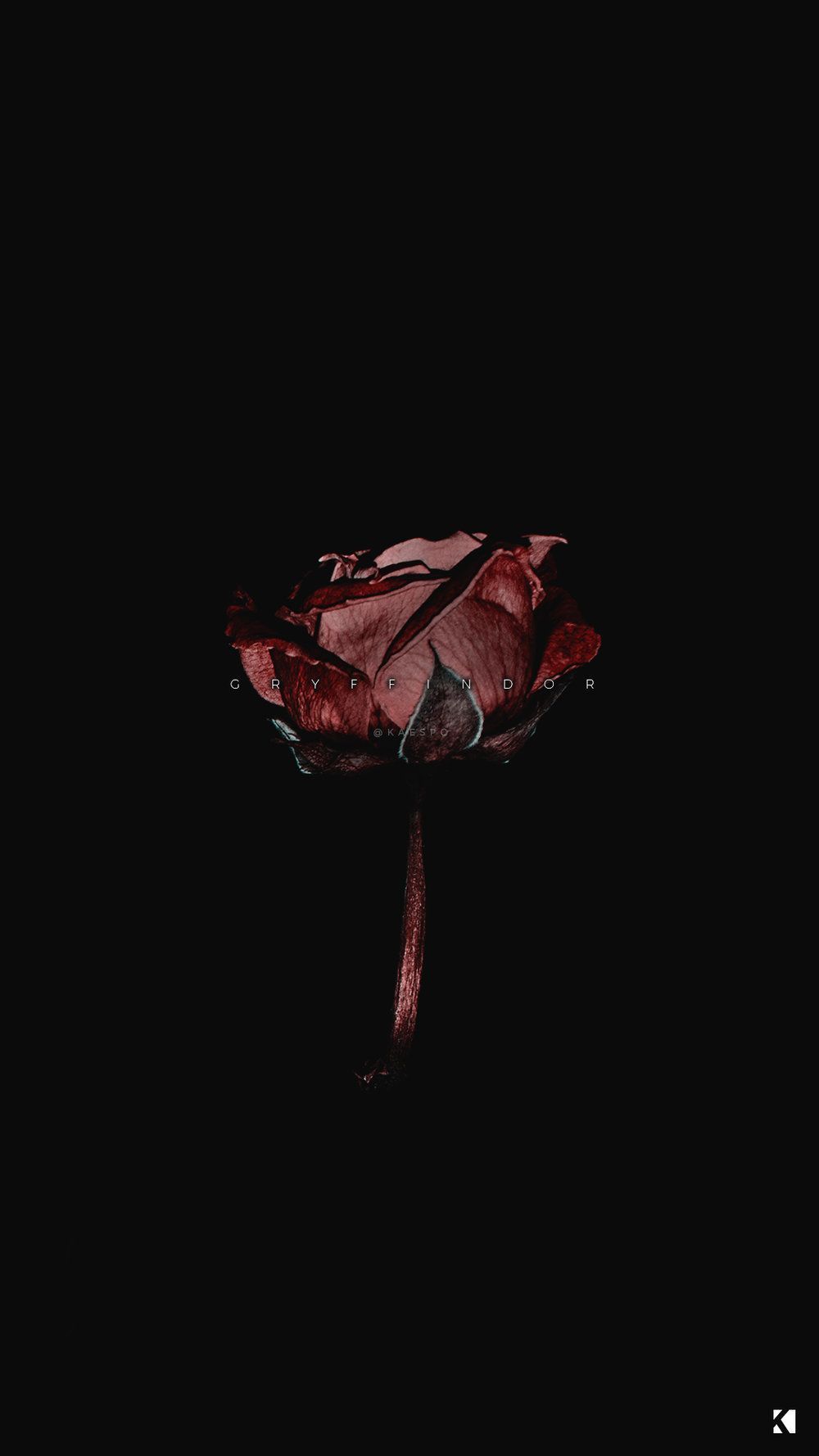 Dark Roses Aesthetic Wallpaper
