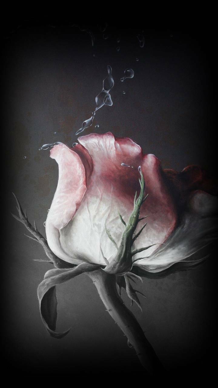 Wallpaper Sad Rose. Vilma Liivilmalii.blogspot.com