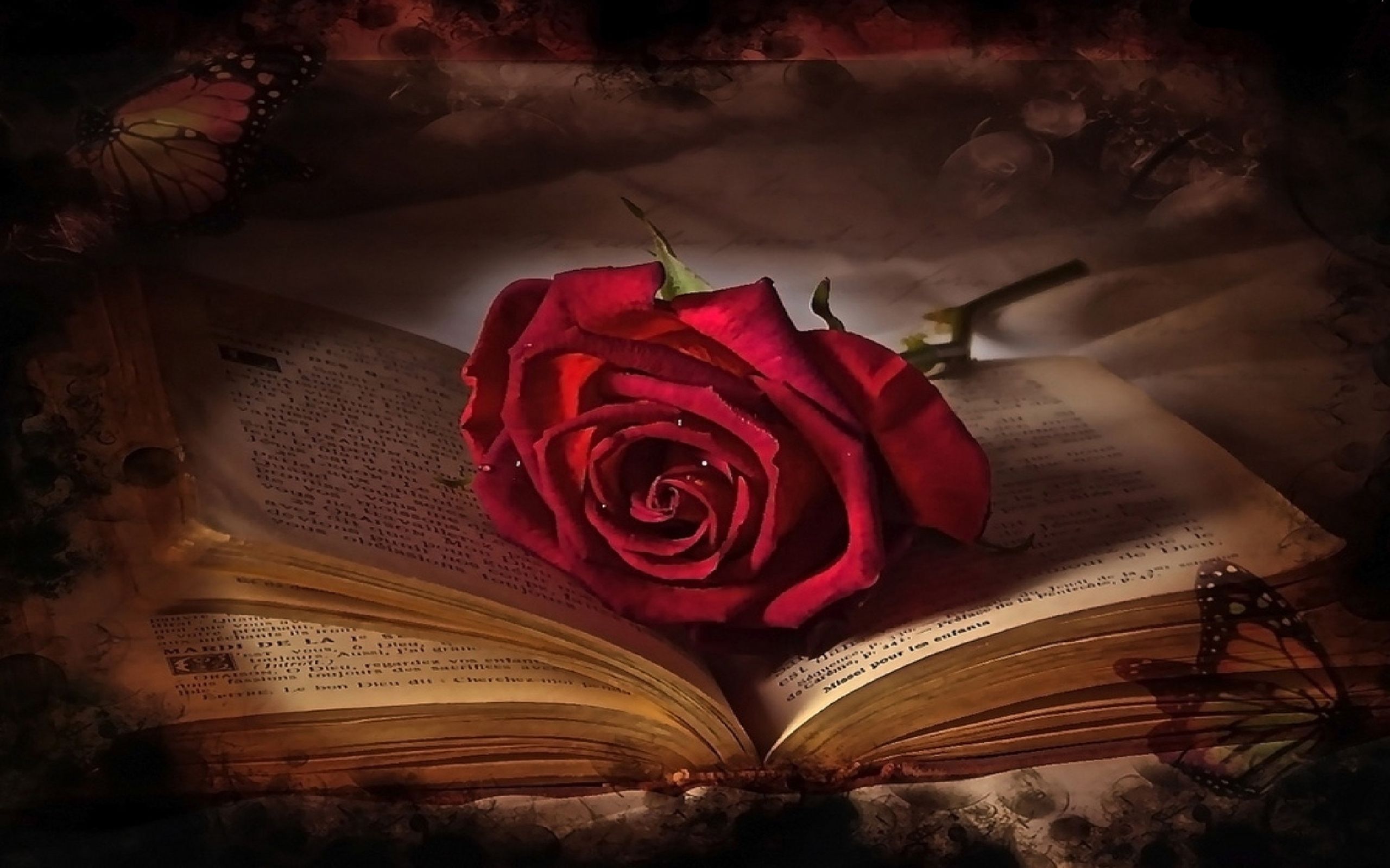 Hd Wallpaper Rose In Book .itl.cat