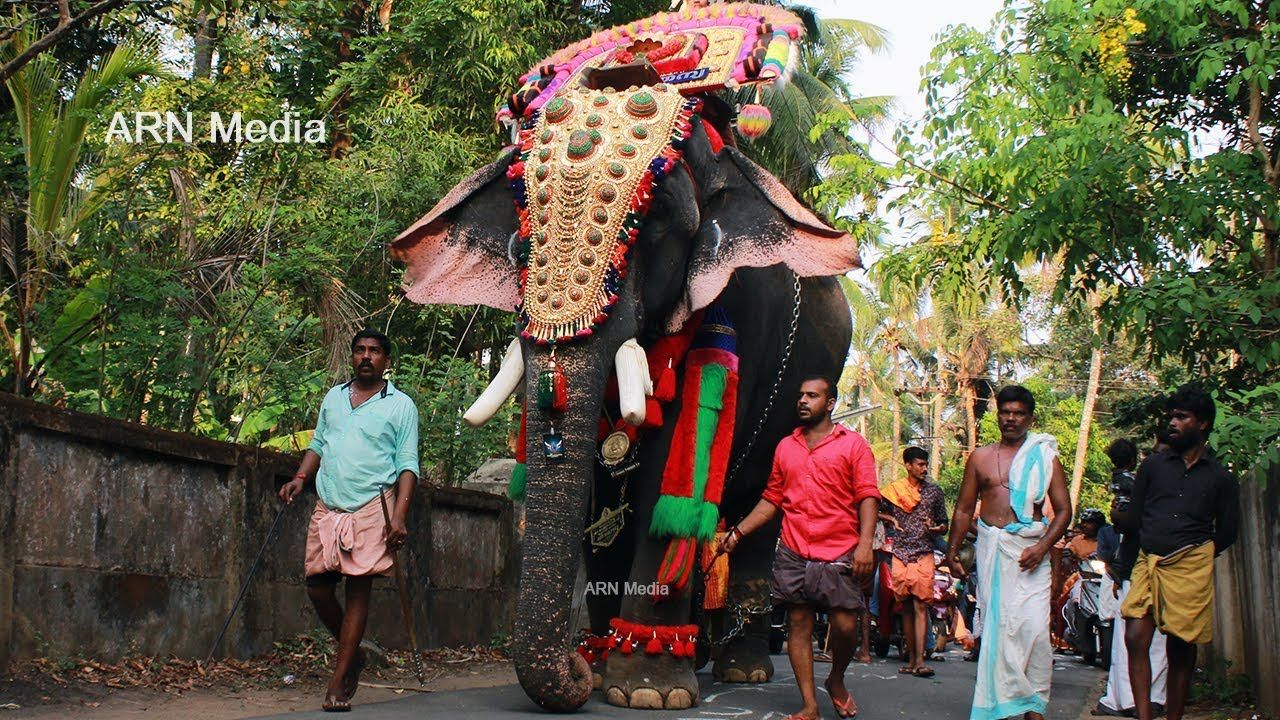 Thrikkadavoor Sivaraju at .youtube.com