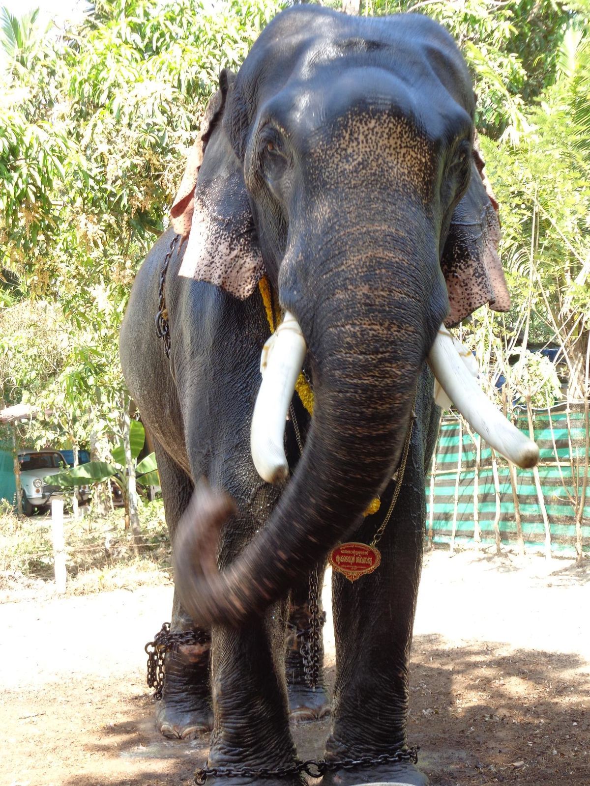 Trrkka .commons.wikimedia.org