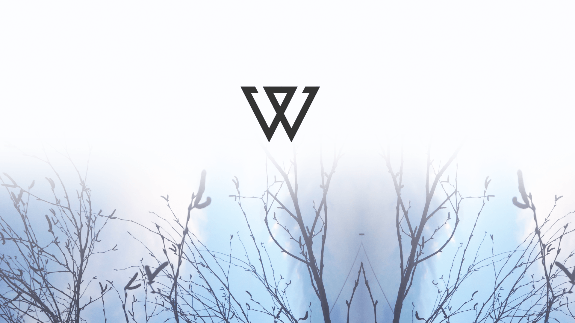 Winner Aesthetic Wallpapers - Wallpaper Cave