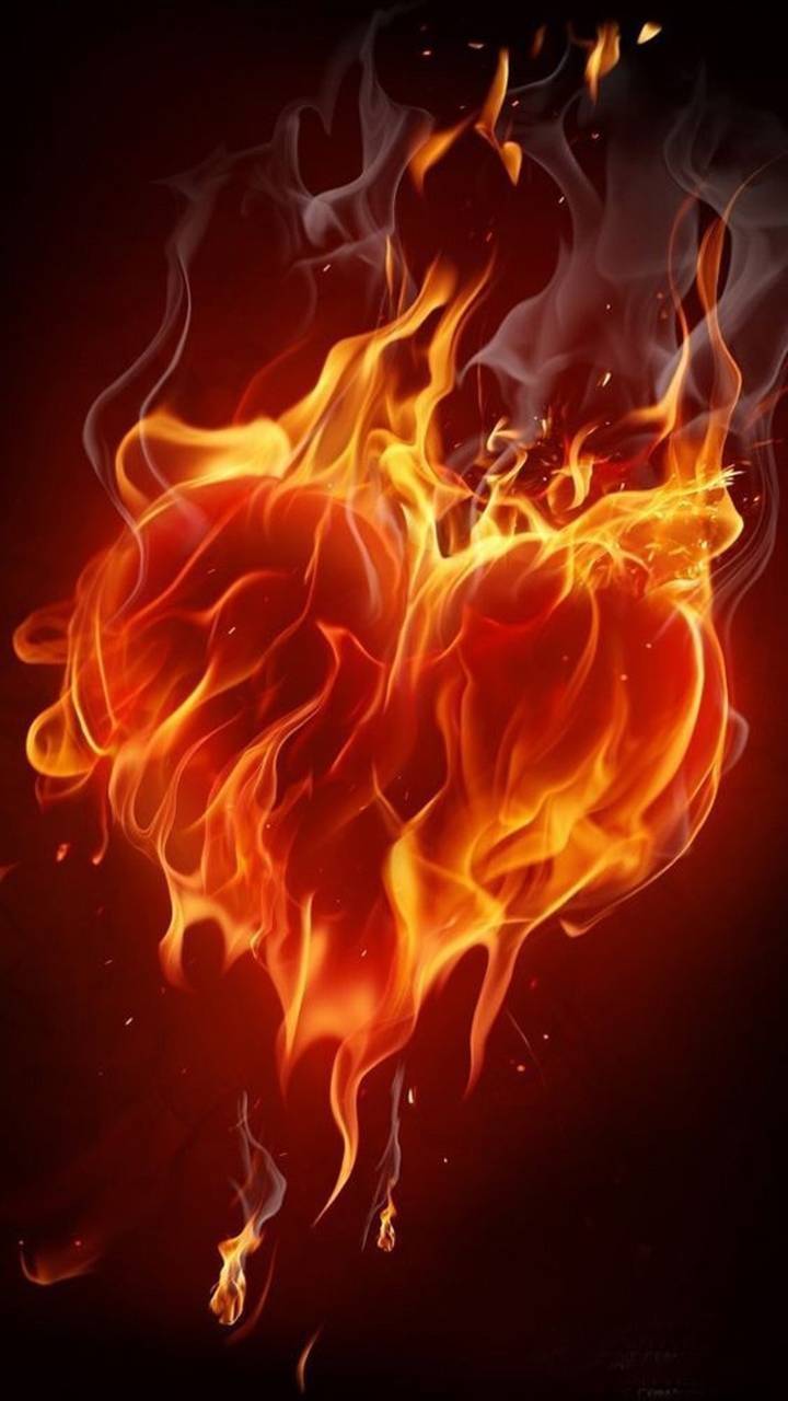 Flaming heart wallpaper by violinists13 .zedge.net