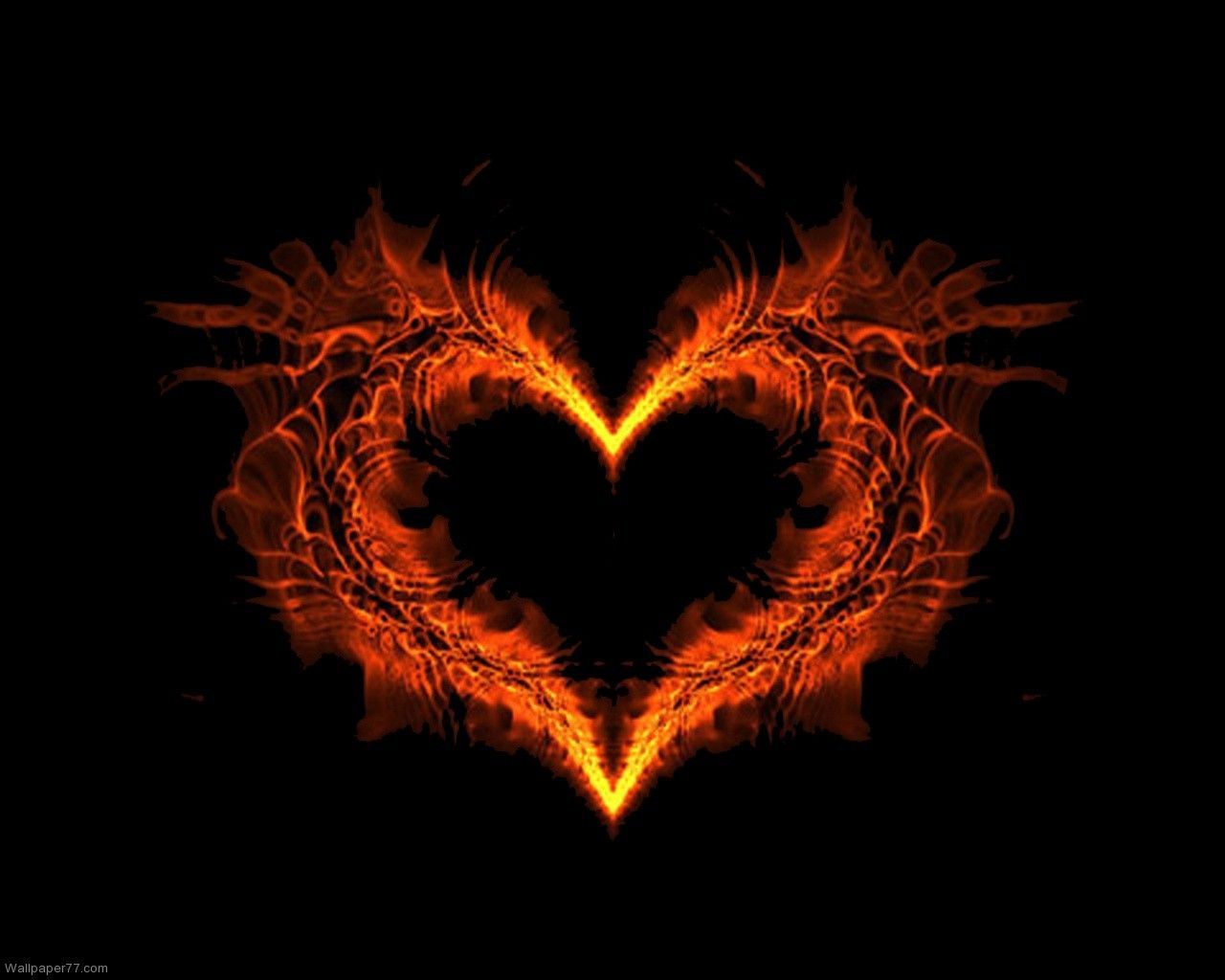 Burning Heart Love Wallpaper Heart .in.com