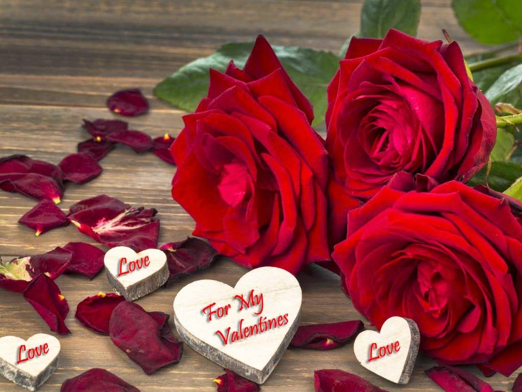 valentine day rose wallpaper